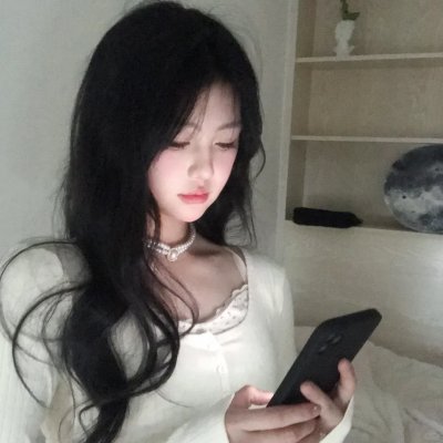 侠盗正传