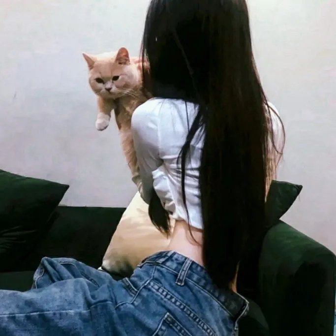阿拉丁